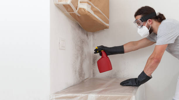 Professional Mold Inspection And Testing technician working in Emerson, NJ